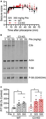 Mice deficient in complement C3 are protected against recognition memory deficits and astrogliosis induced by status epilepticus